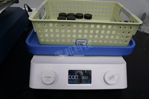 Masson（蓝、绿）